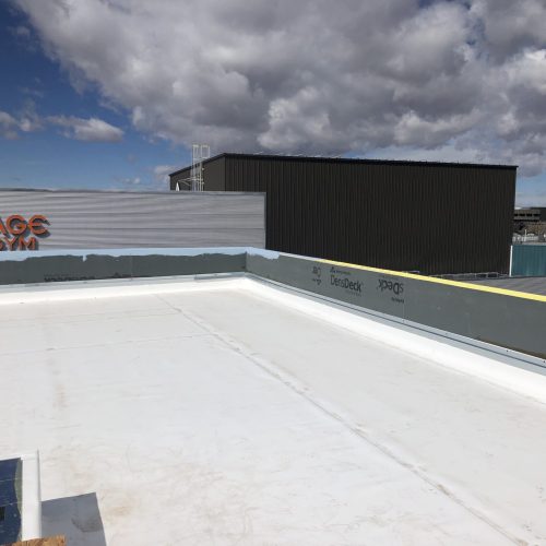 Alanis Roofing