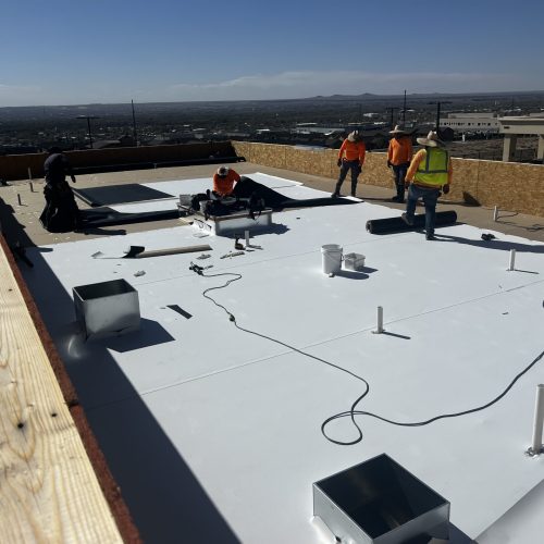 Alanis Roofing